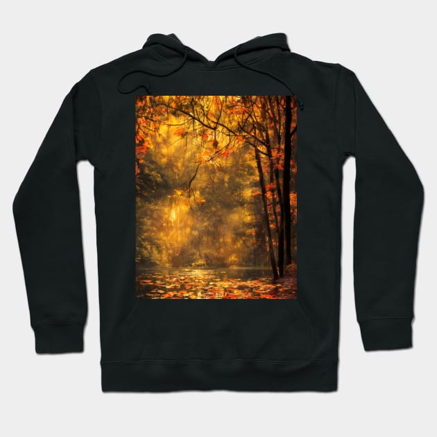 A pond in a forest in autumn Hoodie by Marcel1966